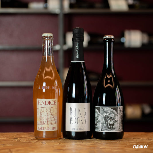 Il Lambrusco Modenese secondo DABEVA