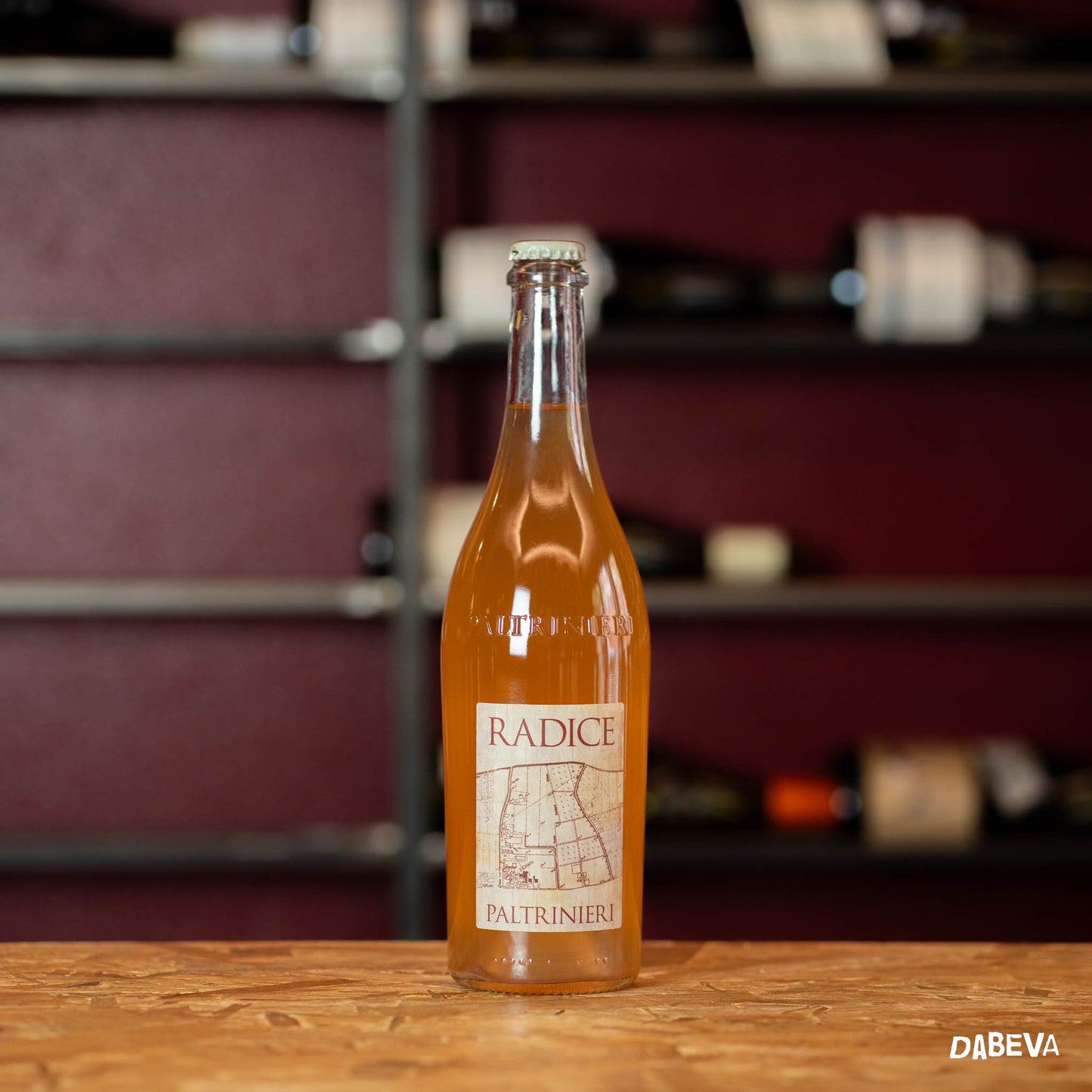 Il Lambrusco Modenese secondo DABEVA